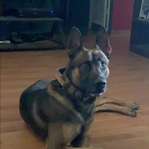 Meet your Posher, David